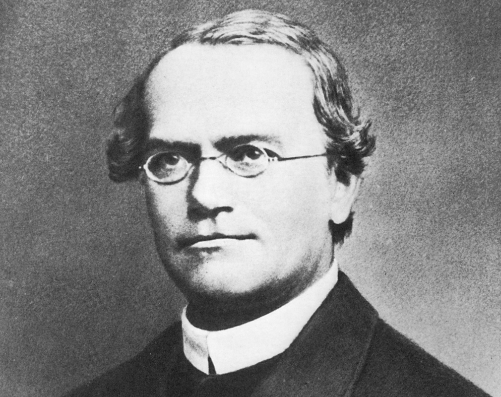 Zakladatel genetiky Gregor Johann Mendel