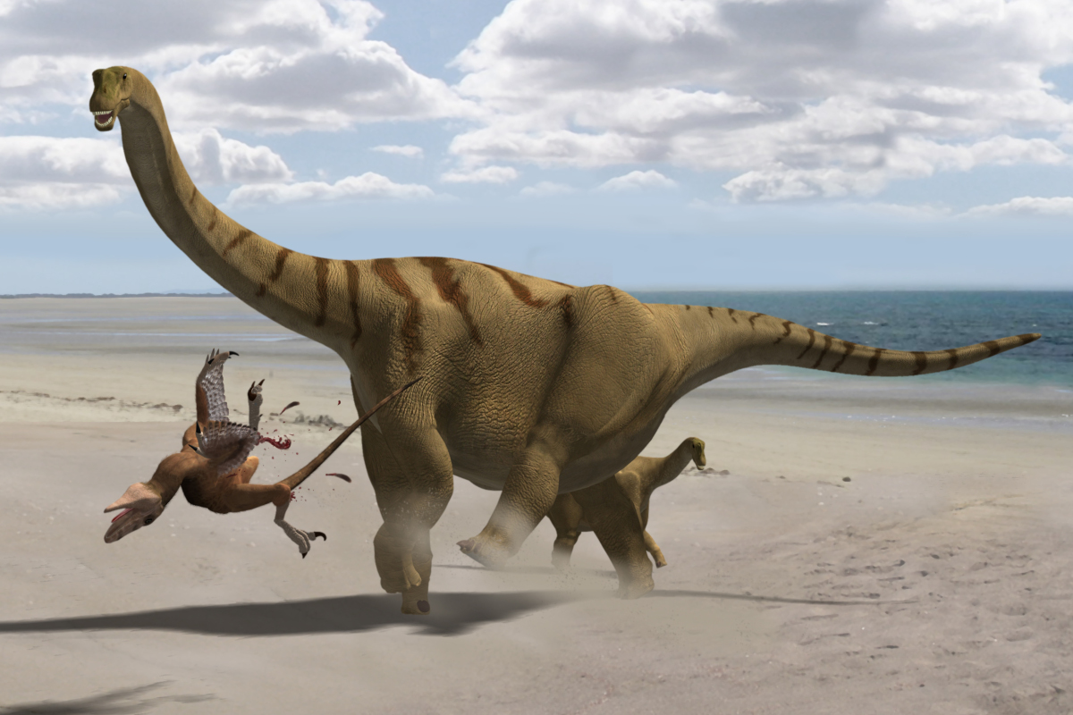 Dlouhokrký býložravý dinosaurus Brontomerus mcintoshi 