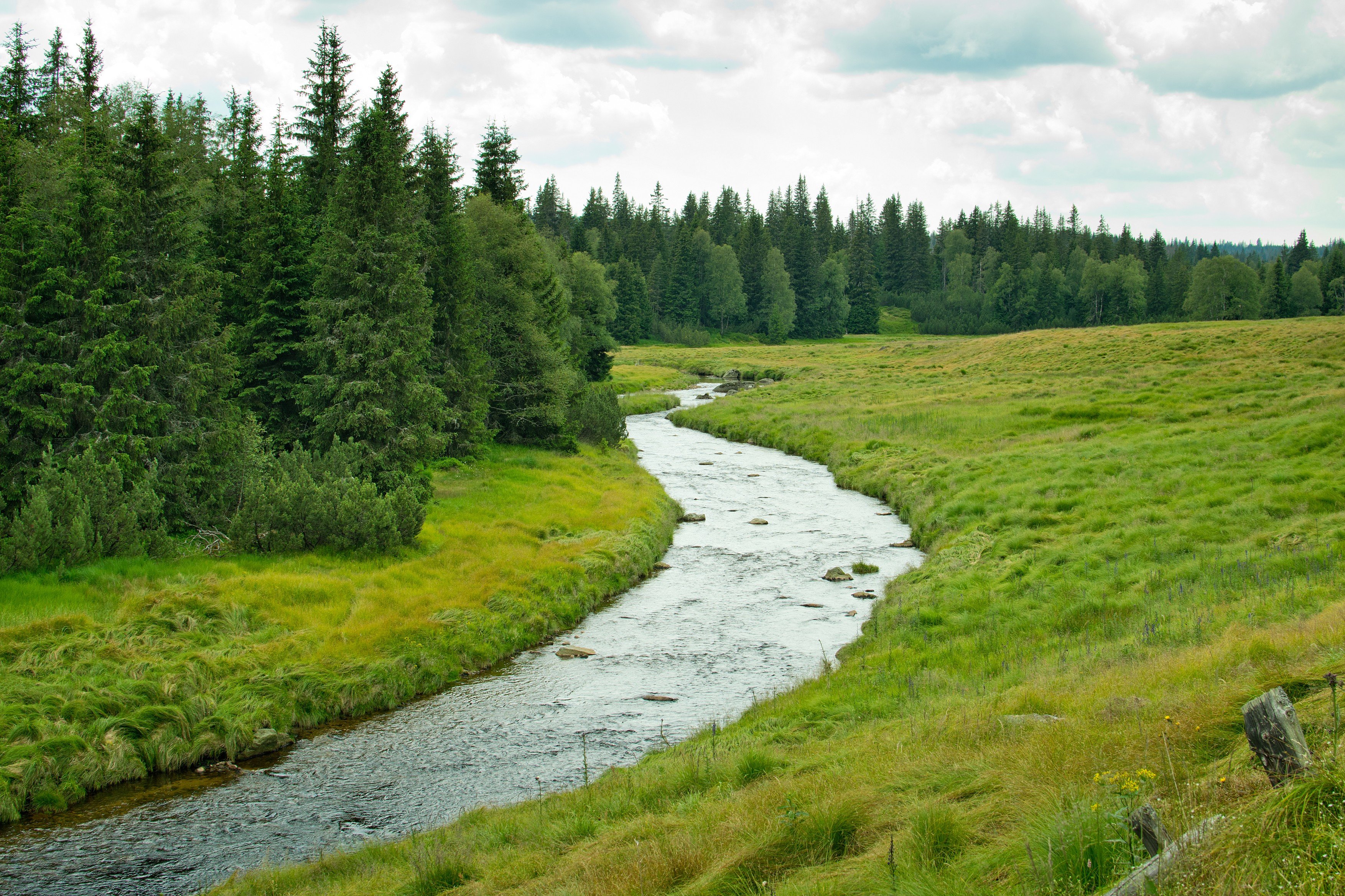 Šumava