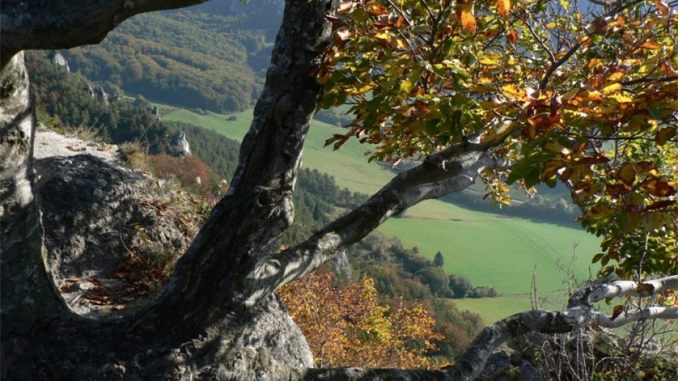 Barevný podzim v Sulovských skalách