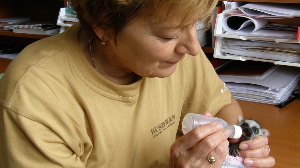 Zooložka Jeřábková krmí malého pacienta