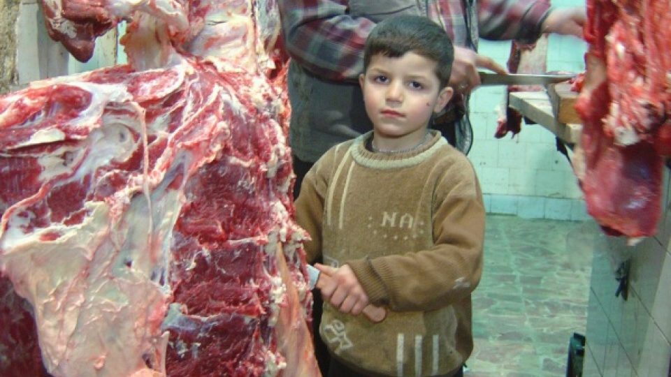 Nebojte se, Syřané jsou i vegetariáni!