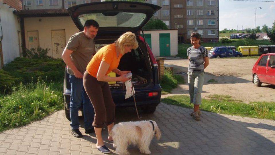 Očkování psů v Mladé Boleslavi