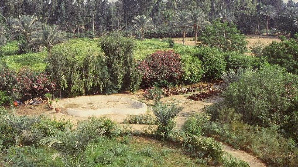 Rajská zahrada aneb sídlo SEKEM group