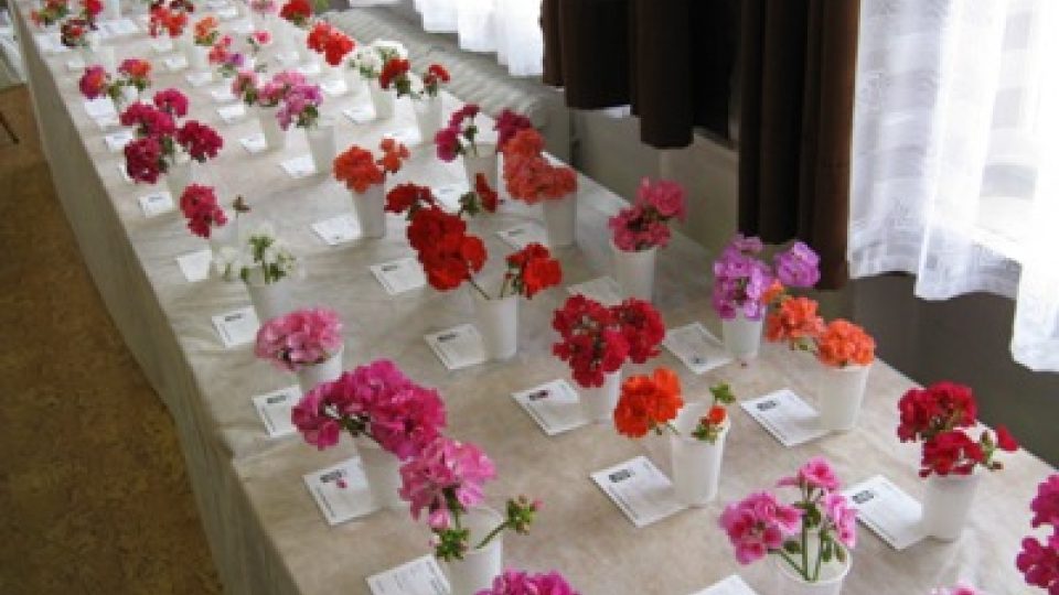Výstava květin v Hořovicích