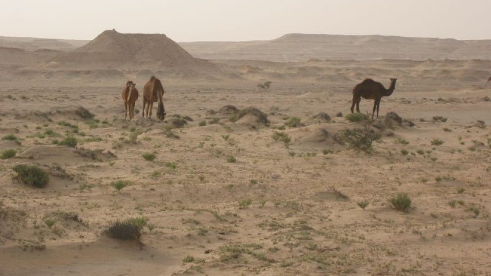 Toto je stále pravý výhled beduína do pouště