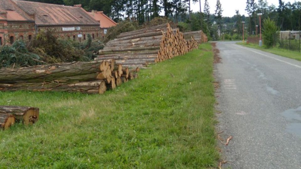 Likvidace škod po červnové vichřici - Zruč nad Sázavou