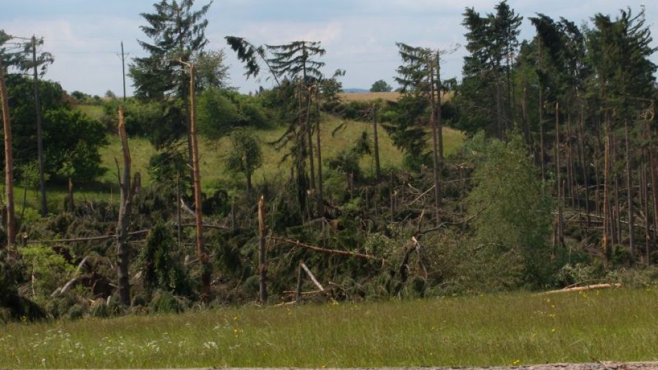 Likvidace škod po červnové vichřici - Dolní Pohleď