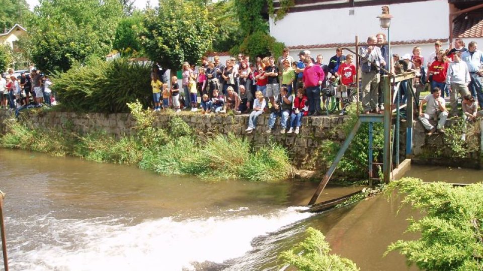 Neckyjáda v Mohelnici nad Jizerou