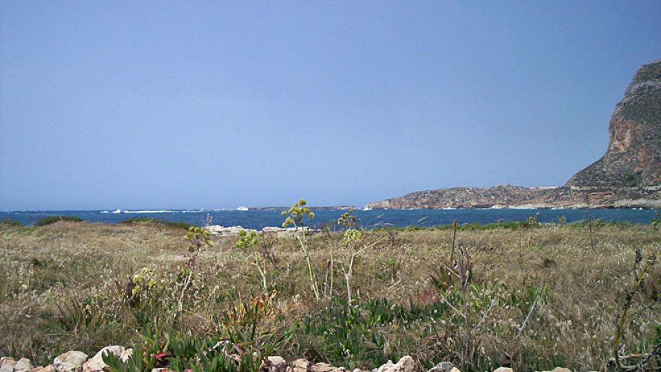 Typická vegetace ostrova Favignana