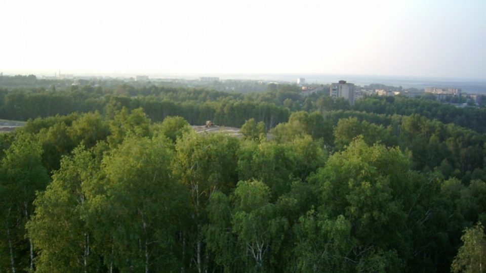 Za těmito hlubokými lesy v Mazyru je elektrárna Černobyl
