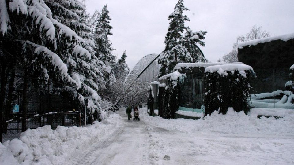 Pohádkově zasněžená zoo Olomouc