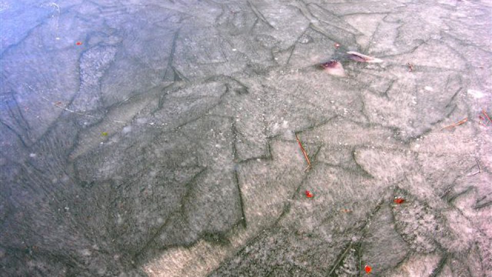 Fotografie z výstavy Led (textury přírodního ledu) RNDr. Radka Mikuláše, CSc.