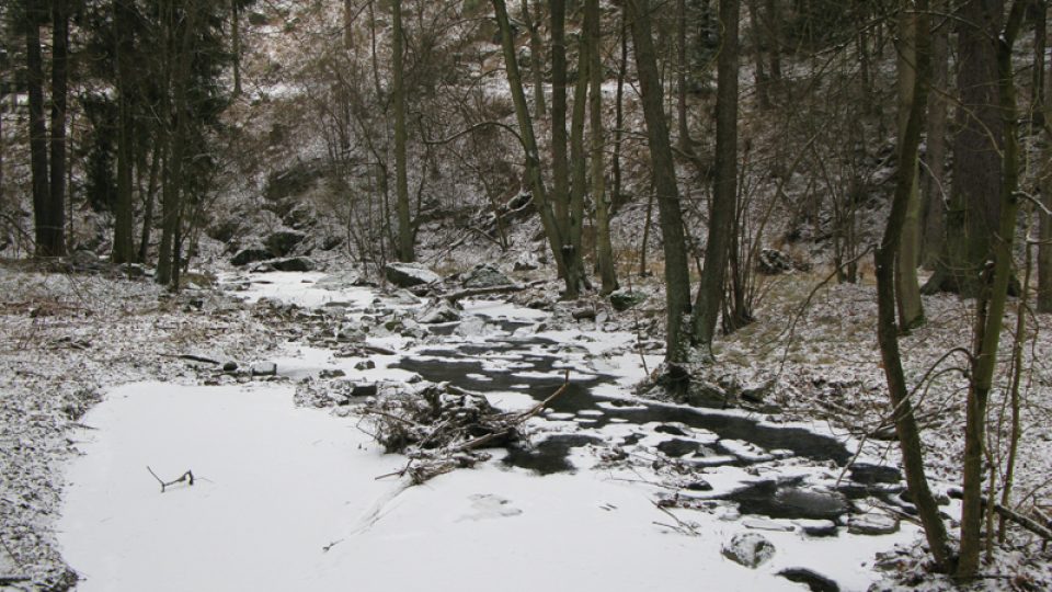 Hrad Kožlí a jeho bezprostřední okolí v prosinci 2008