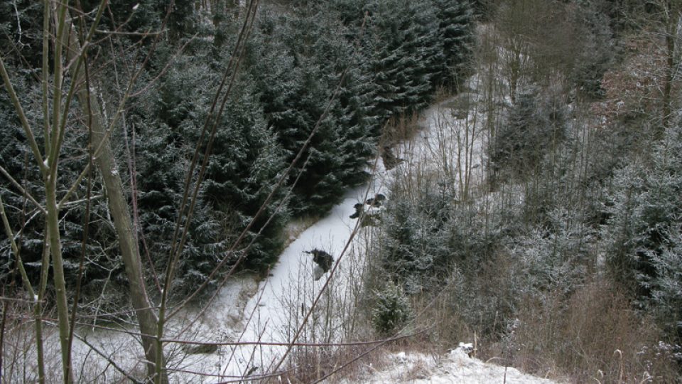 Hrad Kožlí a jeho bezprostřední okolí v prosinci 2008