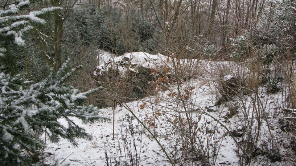 Hrad Kožlí a jeho bezprostřední okolí v prosinci 2008
