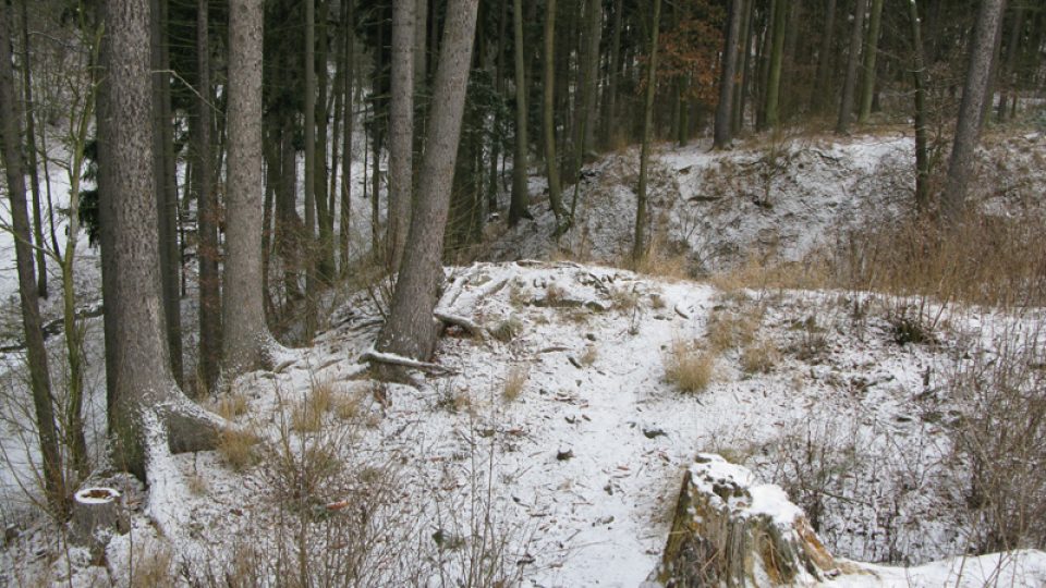 Hrad Kožlí a jeho bezprostřední okolí v prosinci 2008