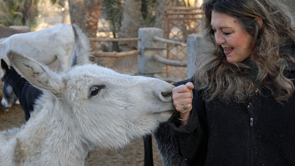 Amína Abázová mezi svými osly