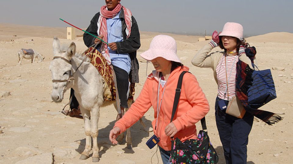 Egyptská zvířata využívají i turisté