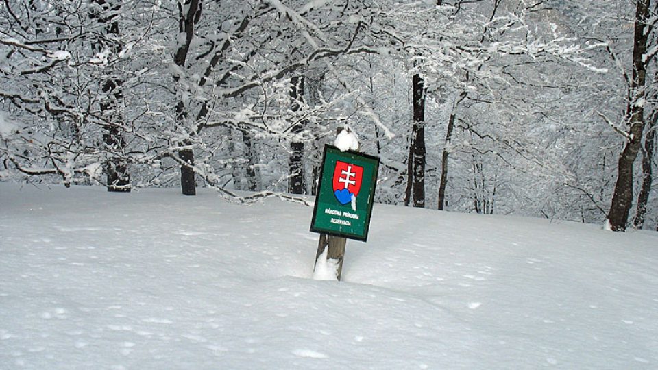 Přírodní rezervace - Velká Fatra