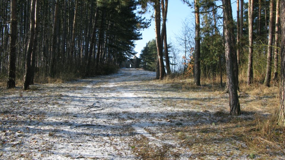 Vrškamýk (leden 2009)