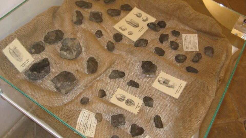 Vernisáž výstavy Zkamenělé poklady berounského muzea