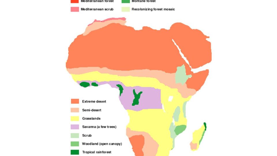 Afrika v době ledové