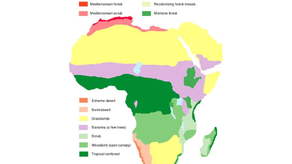 Afrika v době holocénního oteplení