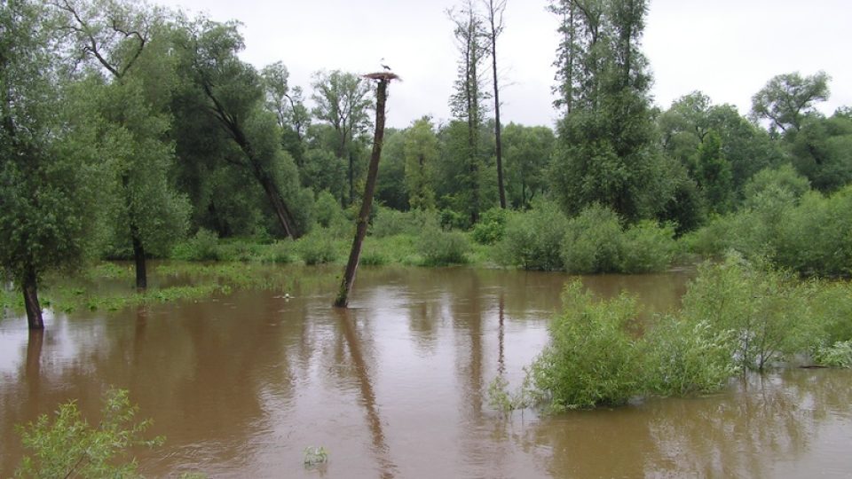 Rozvodněná Malše v Plavu u Českých Budějovic