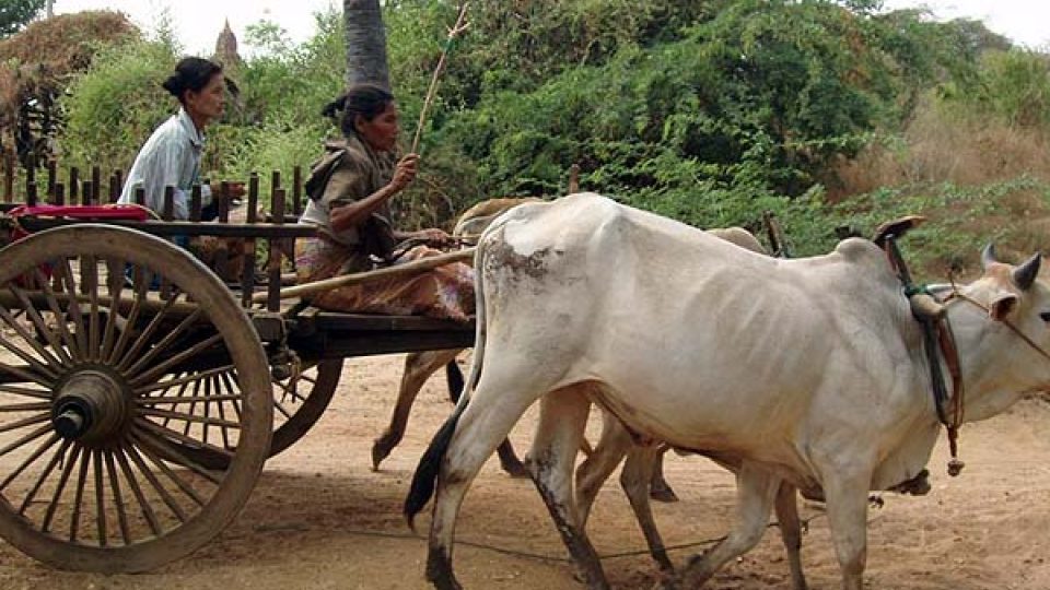 Na cestách Nového Baganu Na cestách Nového Baganu