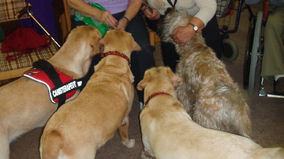 Seniory v Mladé Boleslavi potěšilo pět cvičených psů