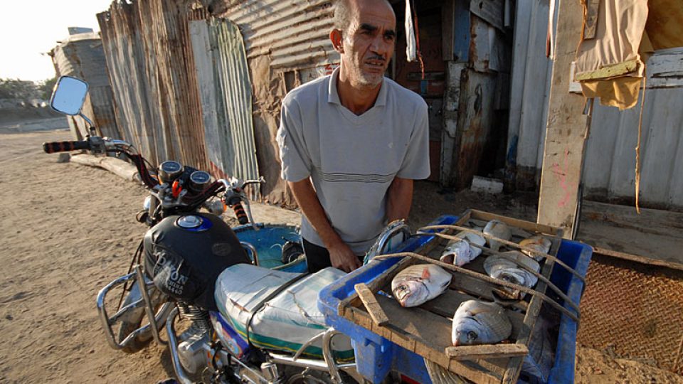 Rybáři z Gazy vozí ryby na trh