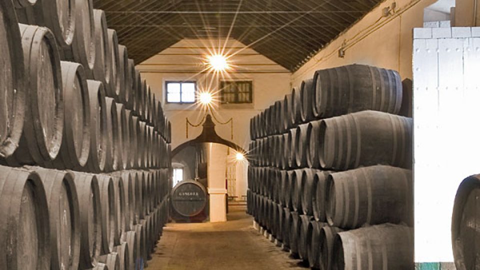 Bodega Góngora