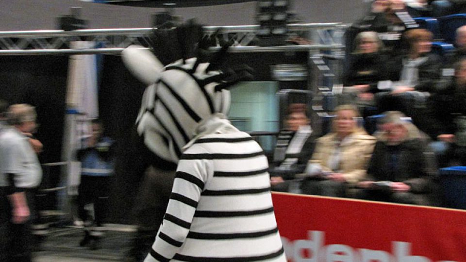 Zebra Dadde - maskot Kielu