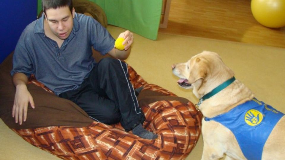 Zdravotně postiženým dětem z Berounska přináší radost labradorka Jessy