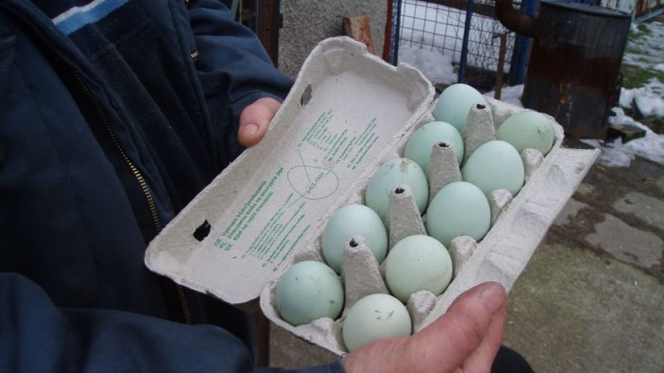 U Horkých v Kozomíně na Mělnicku nemusejí barvit velikonoční vajíčka