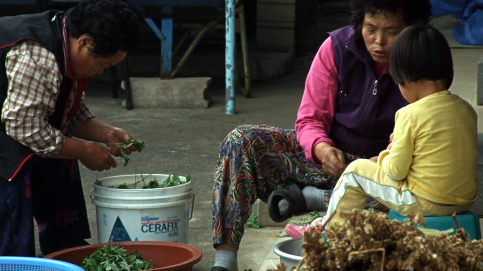 Korejky zpracovávají zeleninu před domem, na ulici i na tržišti (Boseong)