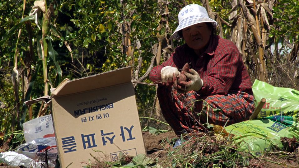 Mladí se stěhují do měst, zemědělství zůstává na důchodcích (oblast Danyang)