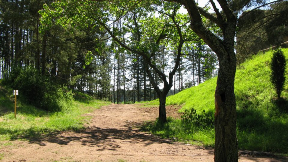 Kamýk nad Vltavou v červnu 2010