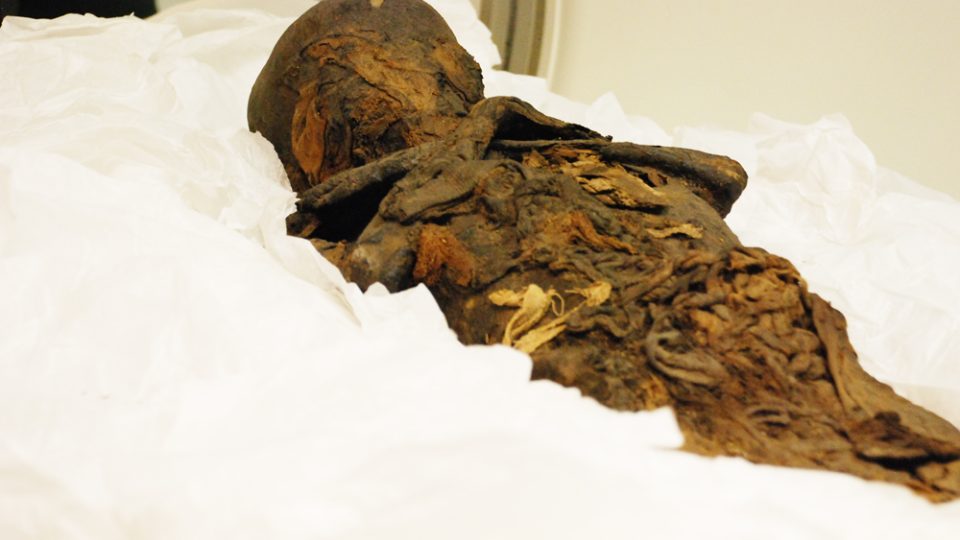 Skenování egyptských mumií