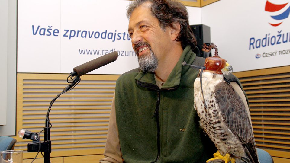 Sokolník Milan Straka se sokolo-rarohem Viktorem ve studiu Víkendového Radiožurnálu