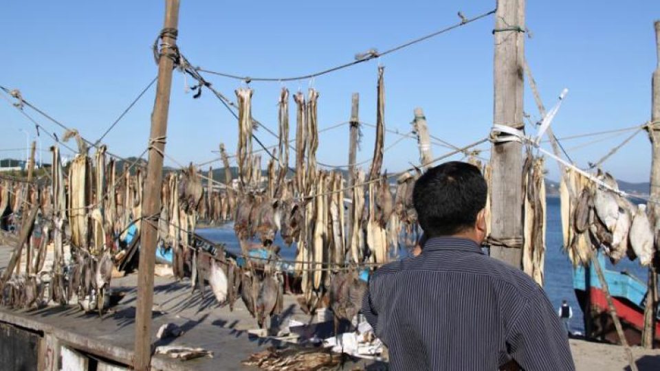 Úlovky rybářů z přístavu Ta-lien bývaly větší. Ryb ubývá