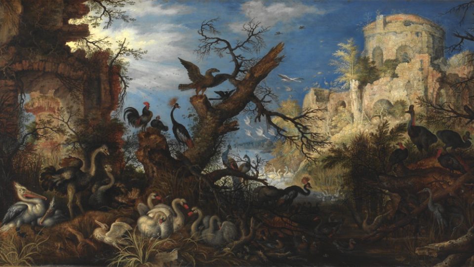 Krajina s ptáky, rok 1622
