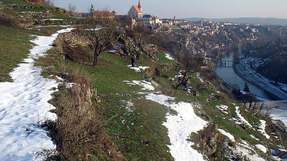 Pohled na znojmo z teras se stromy starých odrůd