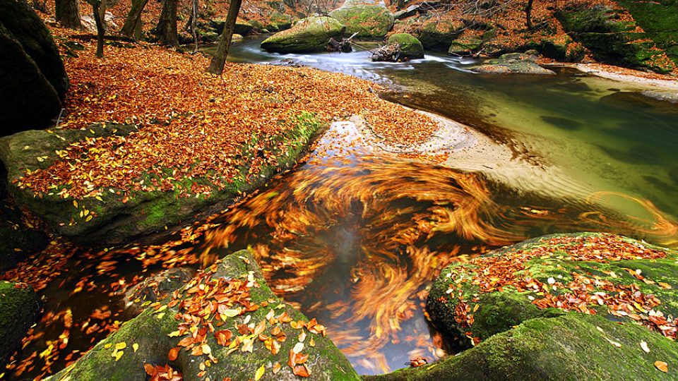 Podzim v Národním parku České Švýcarsko
