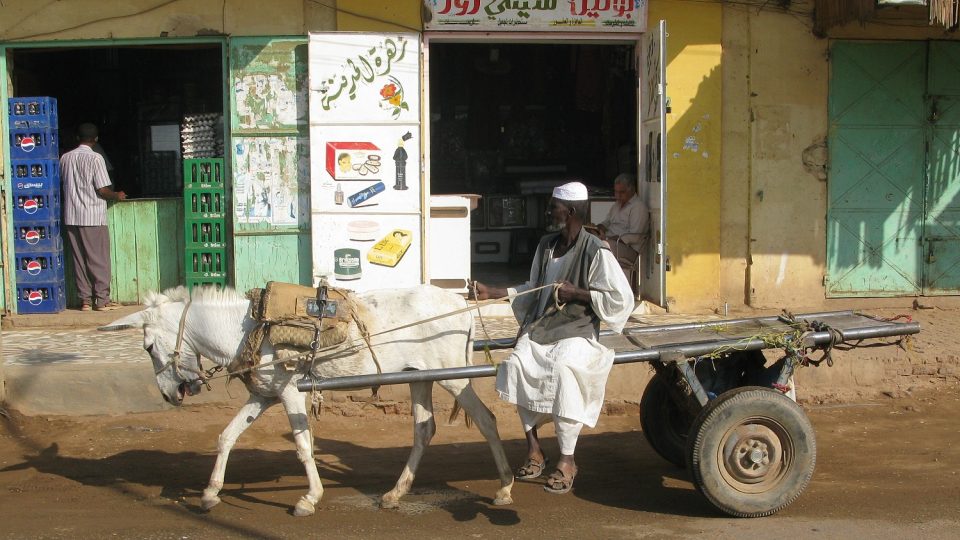 39. Povoz v Shendi (osel je v Súdánu častým pomocníkem při dopravě)