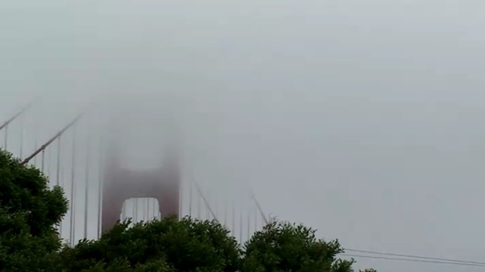 Pokud si budete chtít vyfotit most Golden Gate, jeďte do San Francisca na jaře nebo na podzim. V létě a v zimě je skoro neustále ponořen v mlze