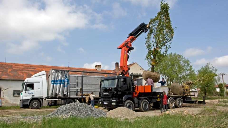 Výsadba stromů v Plánském parku - duben 2009