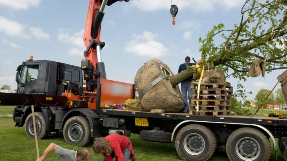 Výsadba stromů v Plánském parku - duben 2009