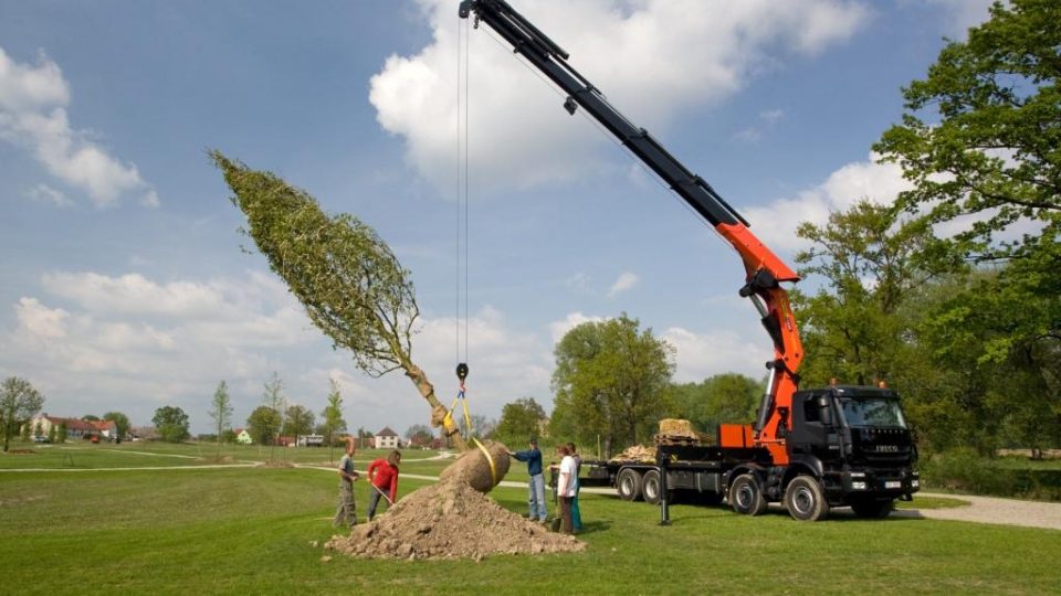 Výsadba stromů v Plánském parku - duben 2009